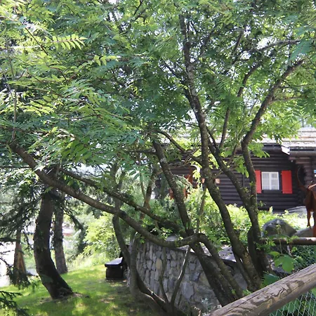 Chalet Traumhaus